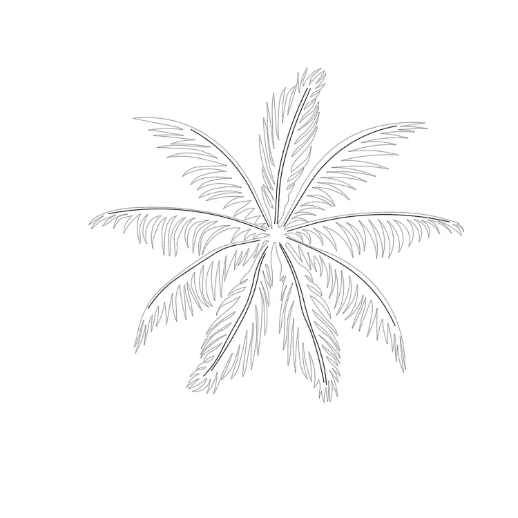 Palm Tree