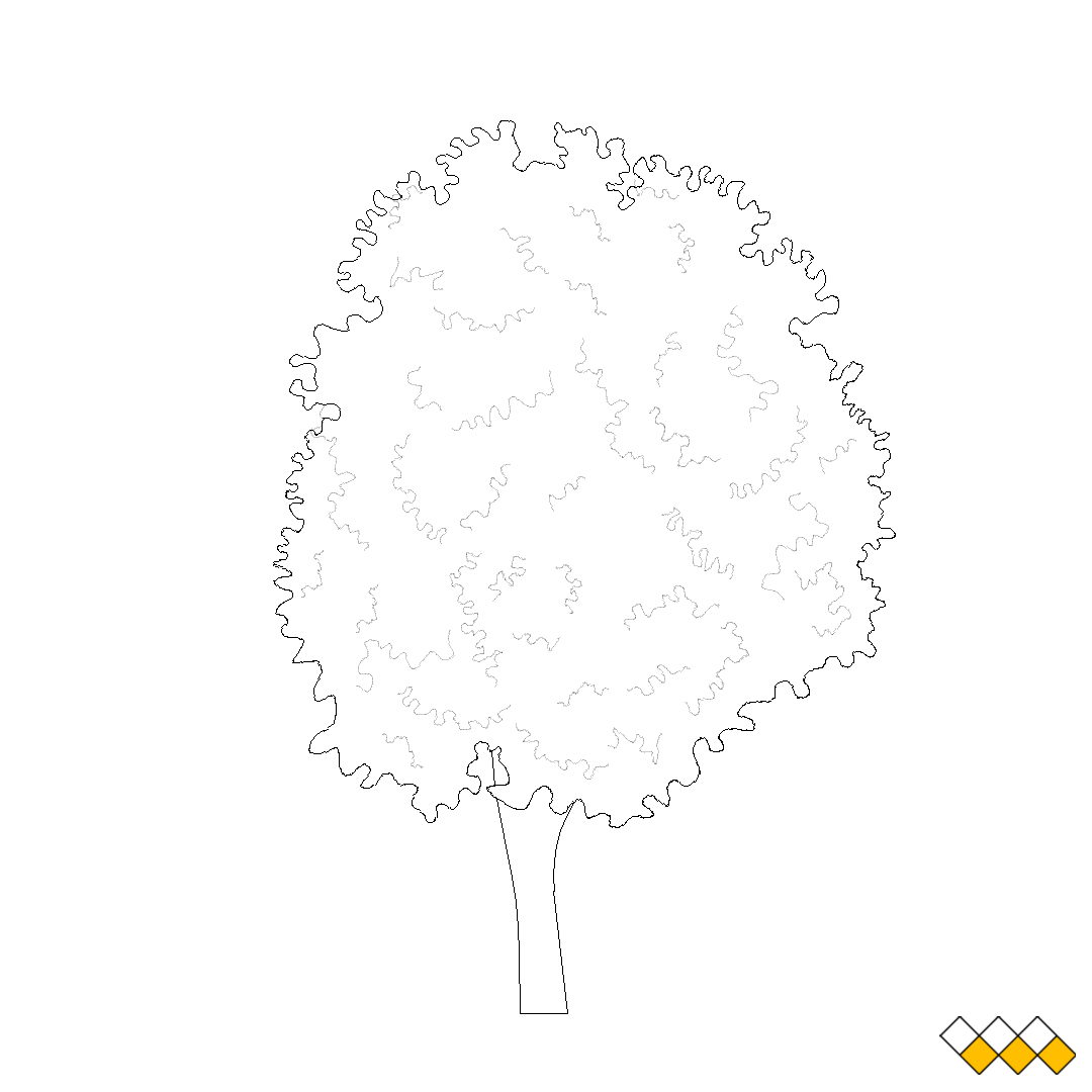 Tree elevation CAD