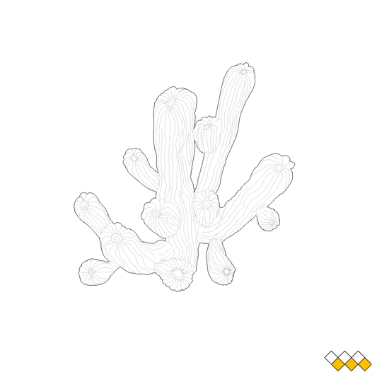 Cactus CAD